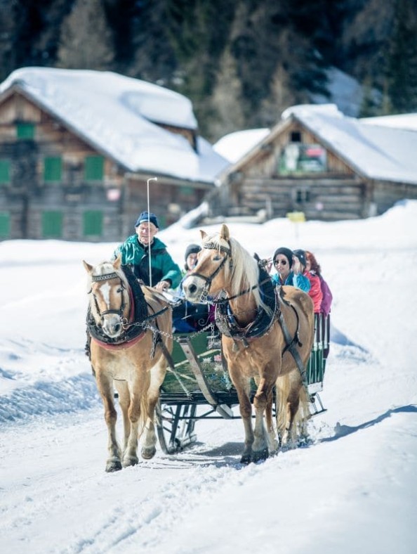 Perdeschlitten © Tourismusverband Obertauern